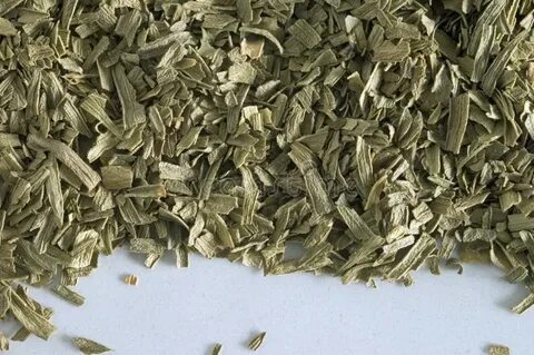 تصویر 5 از قیمت خرید سبزی ترخون خشک + فروش سریع